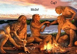Homo erectus i čaj